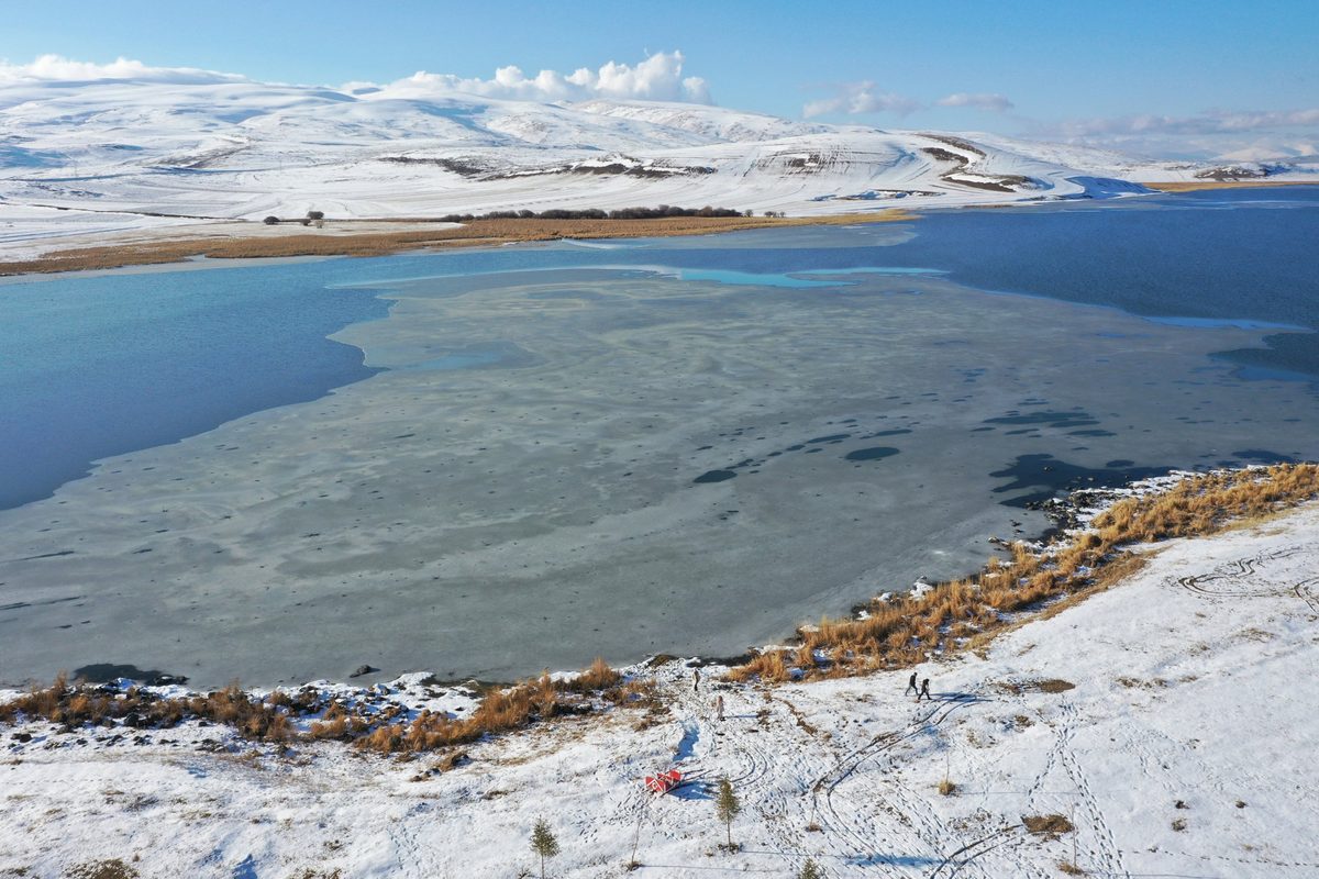 Ardahan
