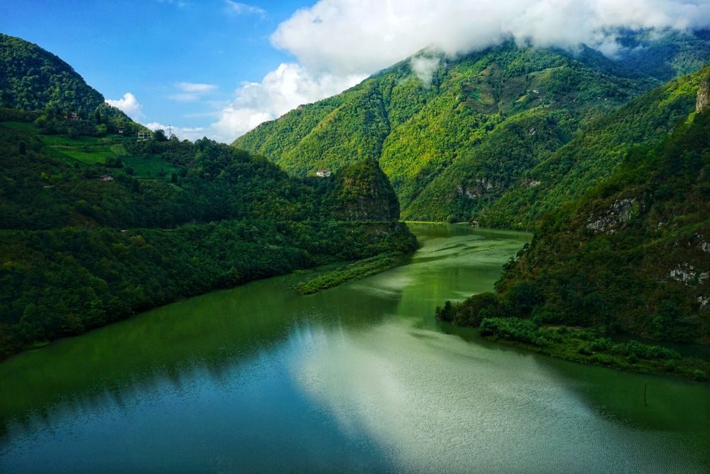 Artvin