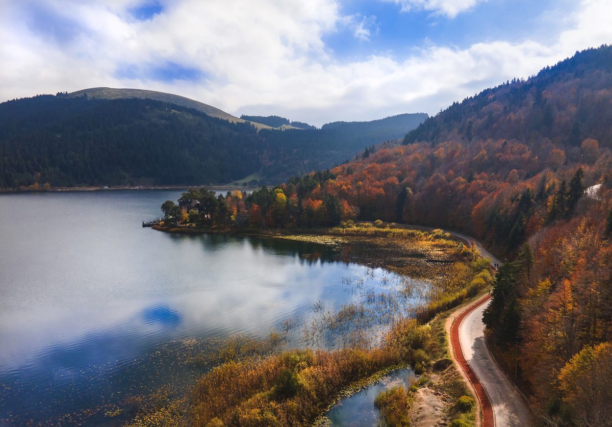 Bolu
