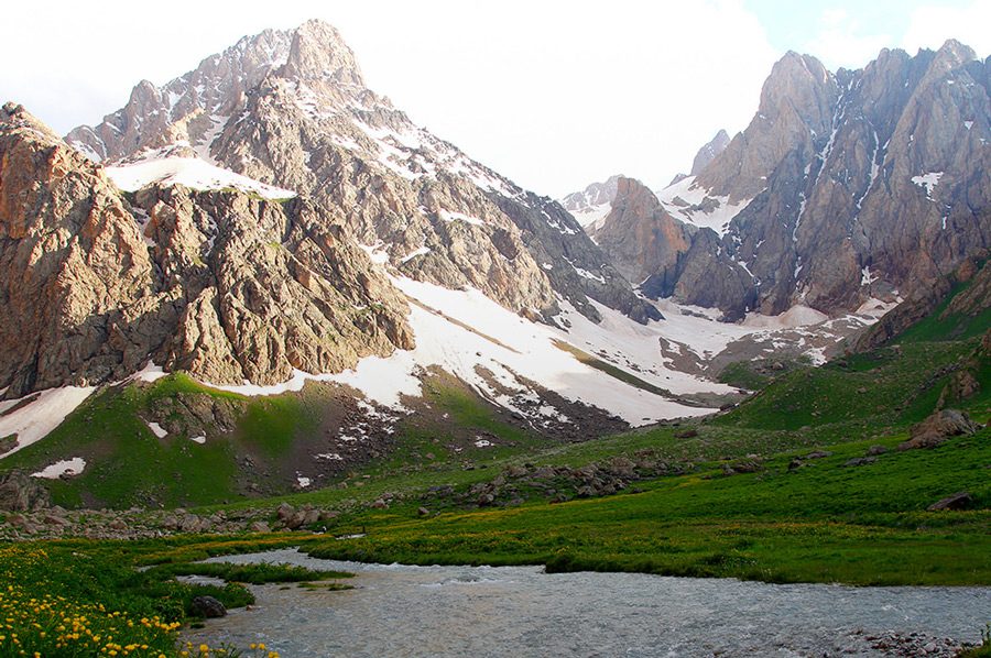 Hakkari