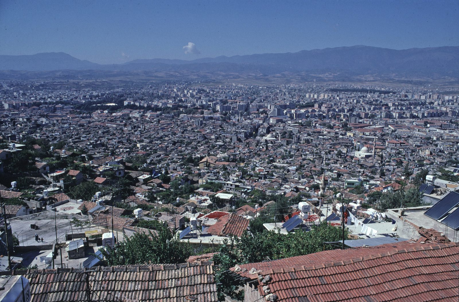 Hatay