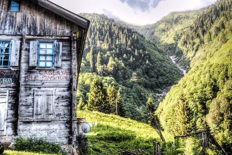Rize