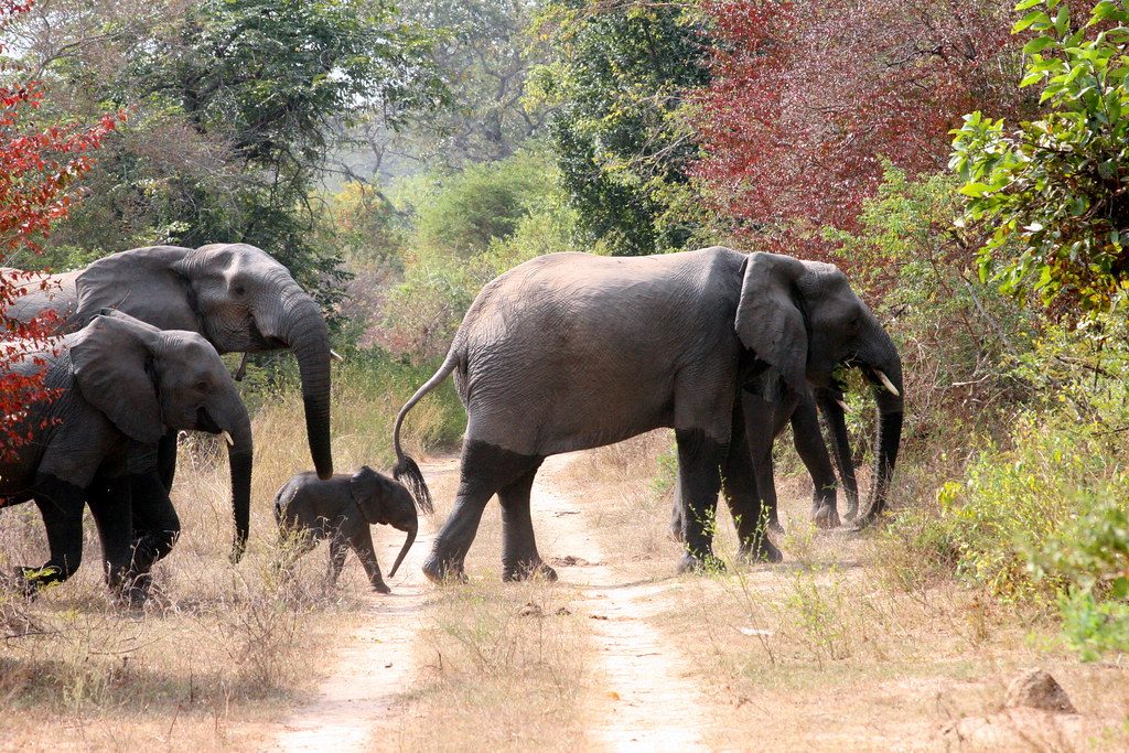 Bauchi State State, Nigeria