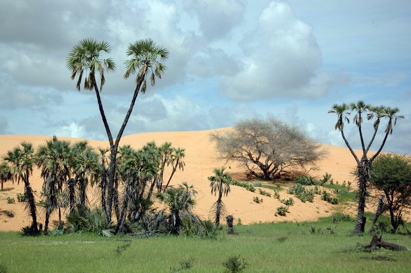Yobe State State, Nigeria